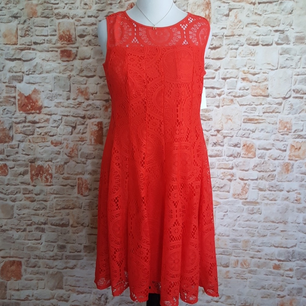 New Chris McLaughlin Fit & Flare Dress